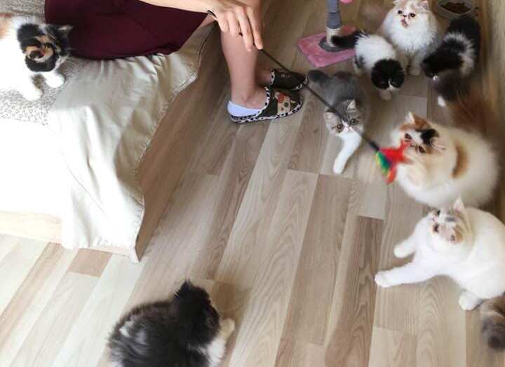 Seller's picture
