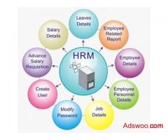 Payroll Management & HR Management Dubai, UAE