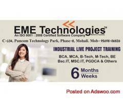 Best 6 Weeks training in mohali