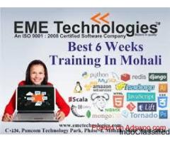 6 Weeks training in mohali
