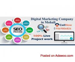 Seo Course in Mohali