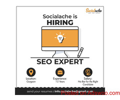 Best Digital Marketing Company in Delhi NCR | Branding Agency