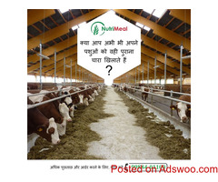 Silage Provider in Punjab