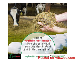 Silage Provider in Punjab