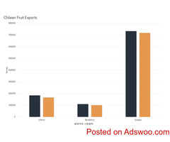 Food Market Analysis