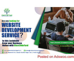 FLAT 10% OFF ON WEBSITE DEVELOPMENT COMPANY  IN NOIDA BLUECODE YARD