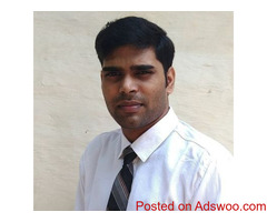 Professional SEO Services