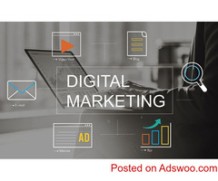 Digital Marketing Training in Chandigarh