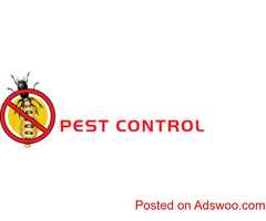 Domestic & Commercial Rodent Control in Melbourne