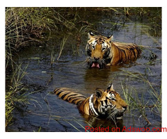 Manipur Tour Package From Kolkata