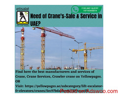 Do You Want Cranes Rental Services in UAE?