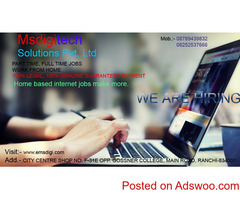 Home based internet job.