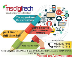 Home based internet job.