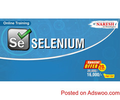 Can Selenium be used for robotic process automation?