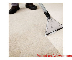 Ricky Carpet Cleaning Services