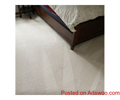 Ricky Carpet Cleaning Services