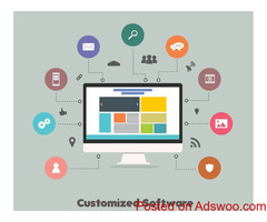 Customized software development