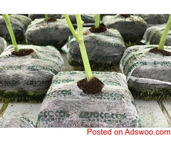 Coco Products USA: Clean, Fresh & Natural - Perfect for Hydroponic Growing