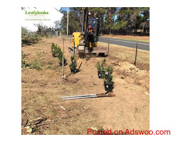 35 Years of Experienced Landscaping Contractors in Sutherland Shire