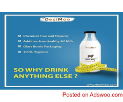 Desi Cow Milk Price in Gurgaon | DesiMoo