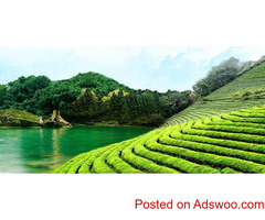 Backwaters, Beaches & Hills of Kerala
