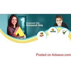 Best Online Expert Homework Help Tutors