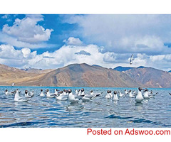 Ladakh Super Saver