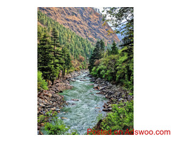 Kullu, Manali & Shimla Volvo Tour