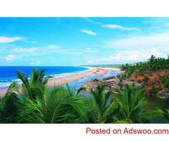 Backwaters, Beaches & Hills of Kerala
