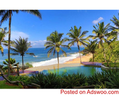 Backwaters, Beaches & Hills of Kerala