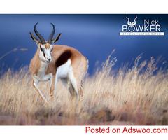 Plan an exciting trophy hunting South Africa with Nick Bowker Hunting