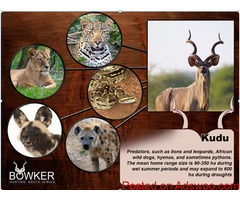Plan an exciting trophy hunting South Africa with Nick Bowker Hunting