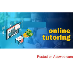24X7 Online Homework Help