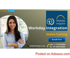 workday online integration course in india