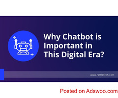 Why chatbot is important in this digital era?