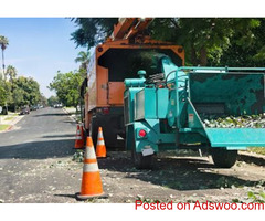 Fountain Valley Tree Service
