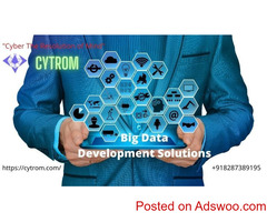 Big Data Development Solutions