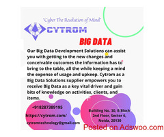 Big Data Development Solutions