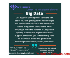Big Data Development Solutions