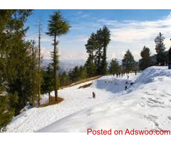 Manali Holi Packages