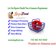 Amazon Catalogue Listing Services