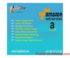 Amazon Catalogue Listing Services