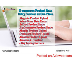 Amazon Catalogue Listing Services