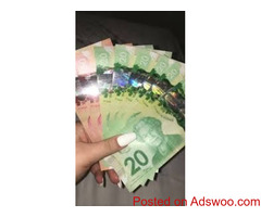 Unique producer of Super Undetectable Counterfeit Banknotes