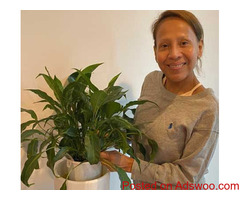 Customised Professional House Decluttering & Home Organising for 100% Satisfaction