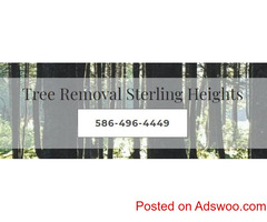 Tree Removal Sterling Heights