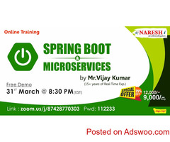 Spring Boot & Microservices Online Training in Texas