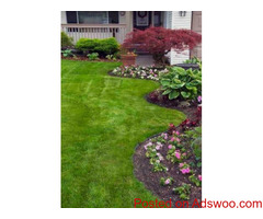 Eco Lawn of Salt Lake City