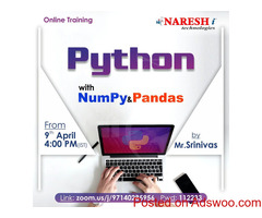 Python Online Training