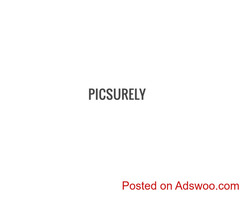 Best Wedding Photographers in Mumbai, Top Candid Photographers in Goa - Picsurely